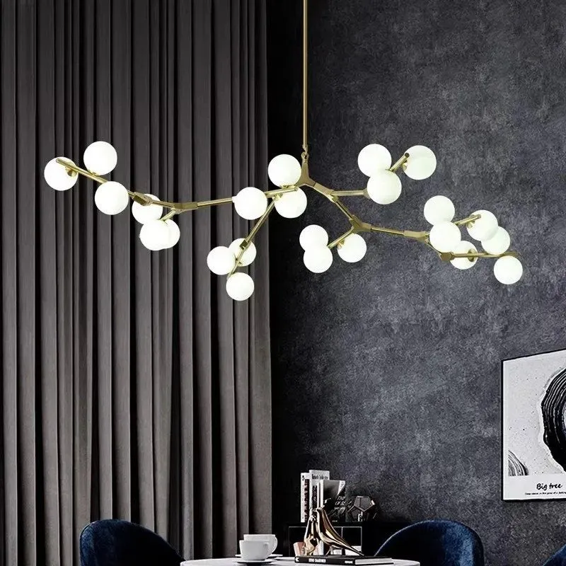 Astraia Chandelier Light