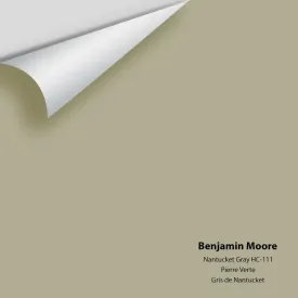 Benjamin Moore - Nantucket Gray HC-111 Colour Sample