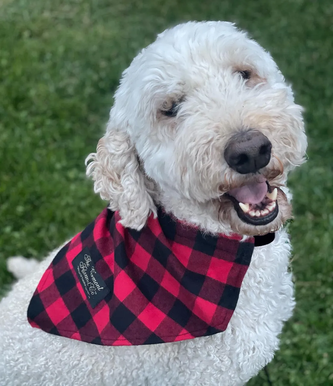 Flannel Dog Bandana - Red Buffalo