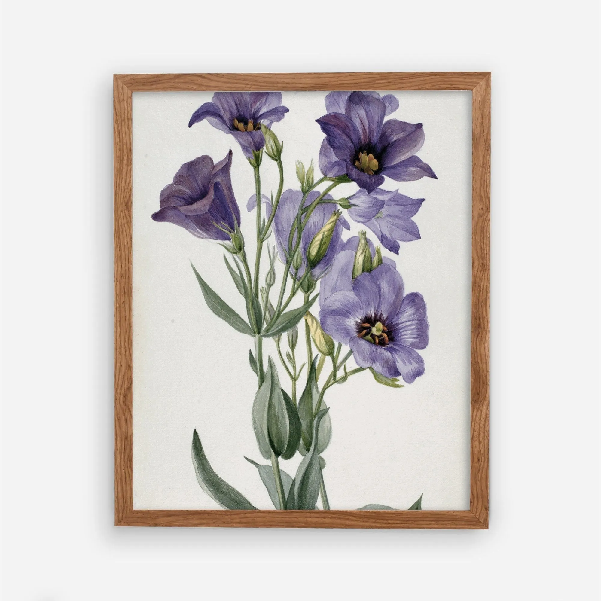 Printed Vintage Floral Plant Wall Art