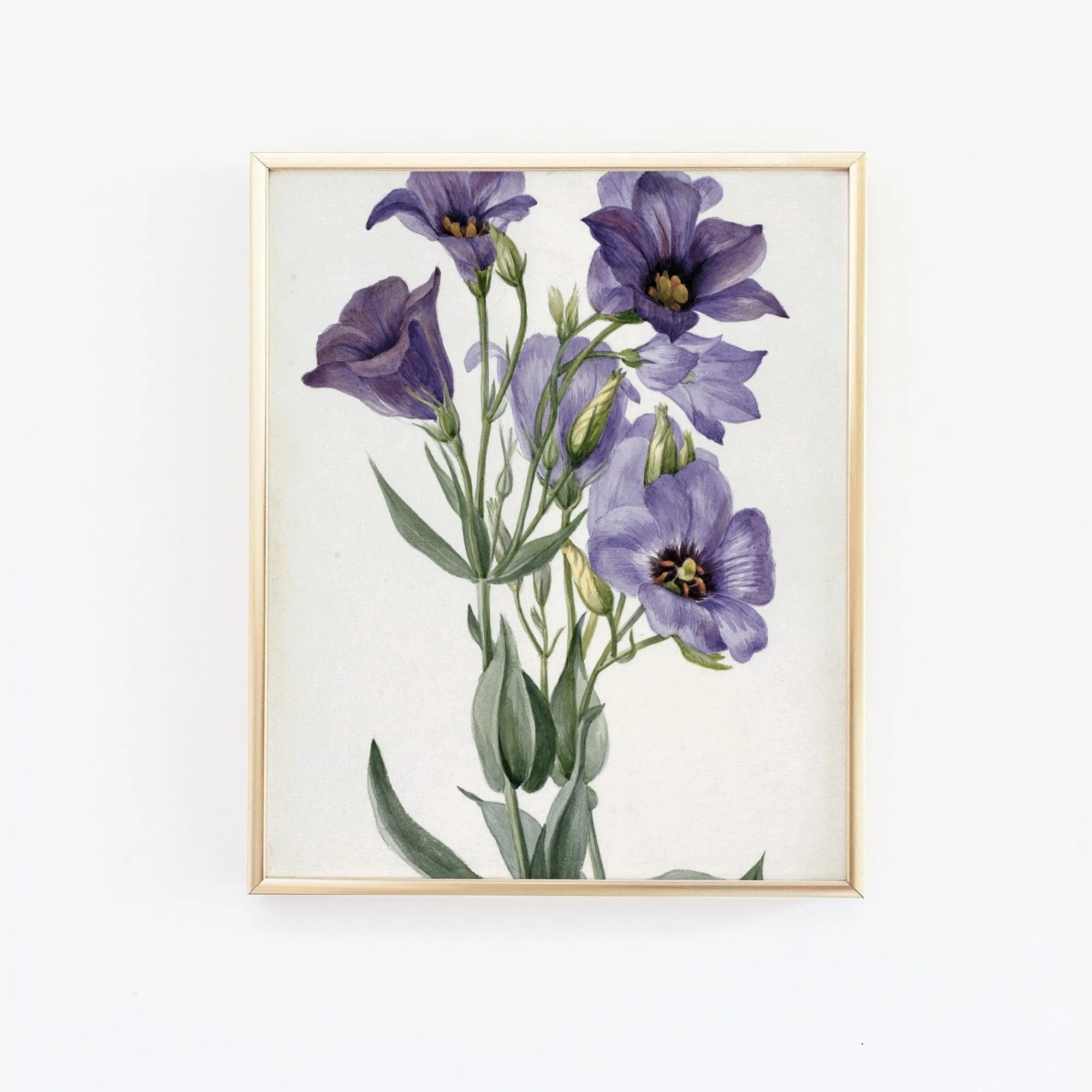 Printed Vintage Floral Plant Wall Art