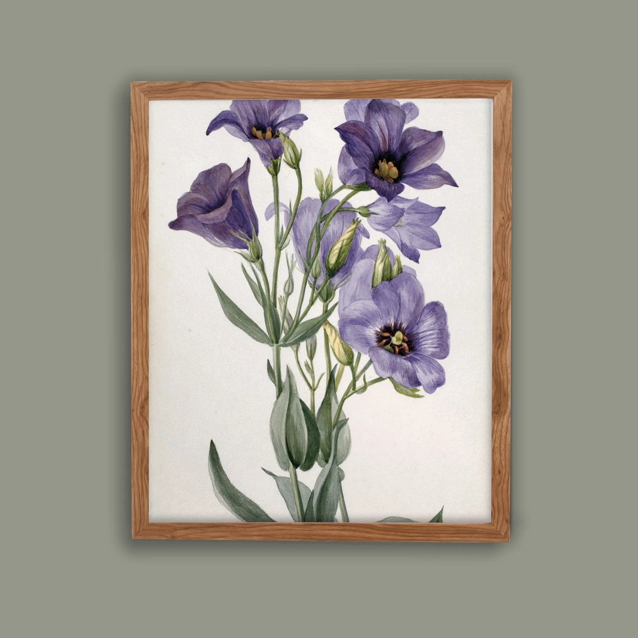 Printed Vintage Floral Plant Wall Art