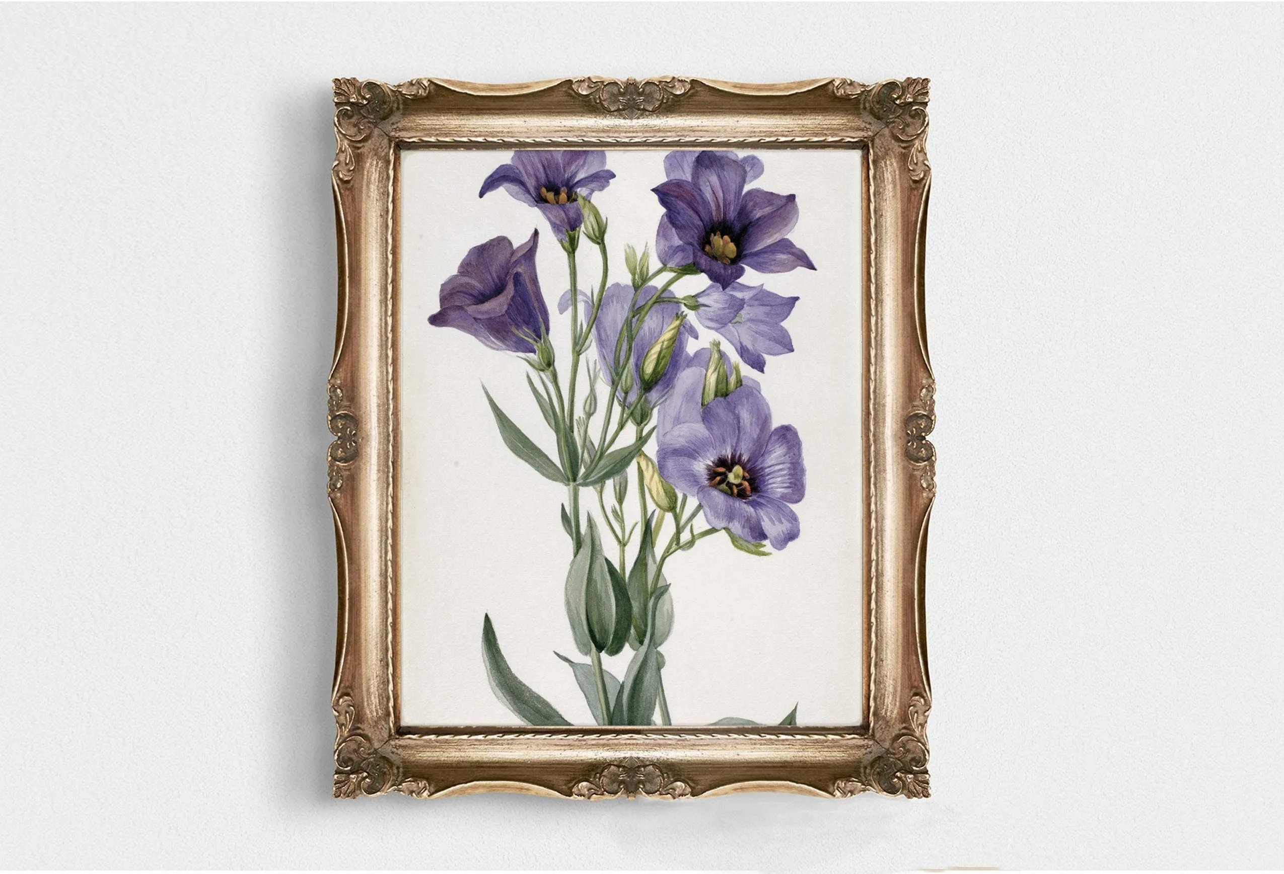 Printed Vintage Floral Plant Wall Art